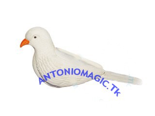 Tortora di gomma